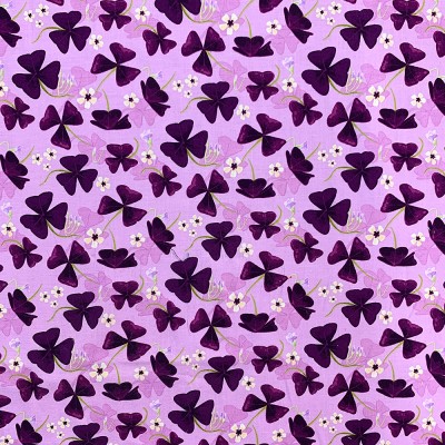 COTTON - Fleur Violet